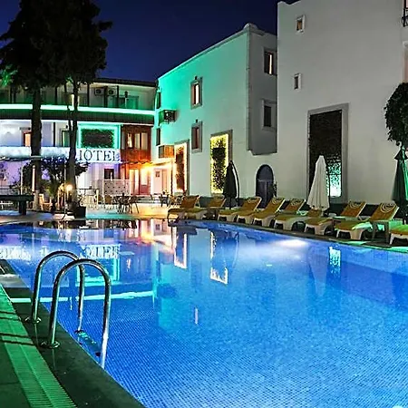 Bleu Nuit 검벳